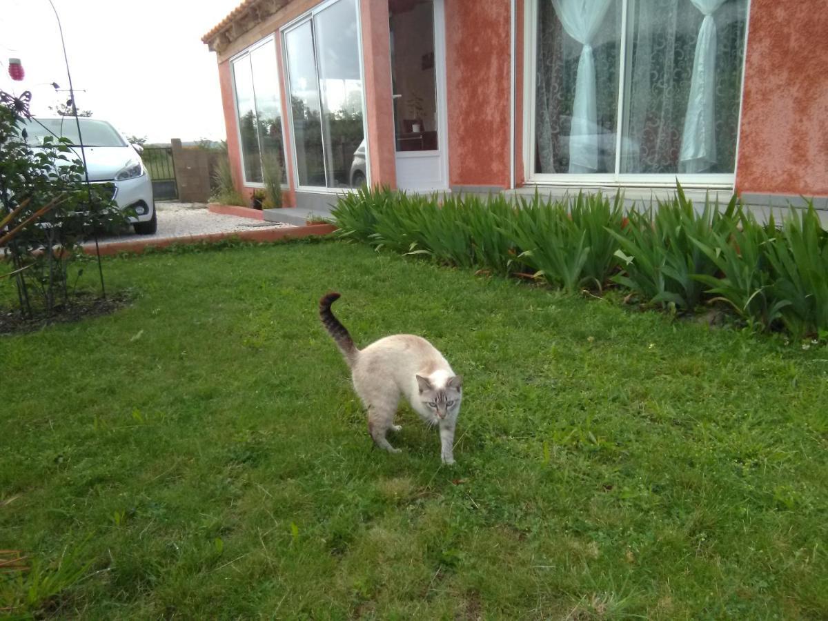 Bleu Du Sud Villa Rigarda Kültér fotó